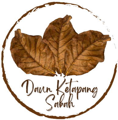 Daun Ketapang Sabah