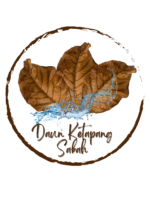 Daun Ketapang (5)