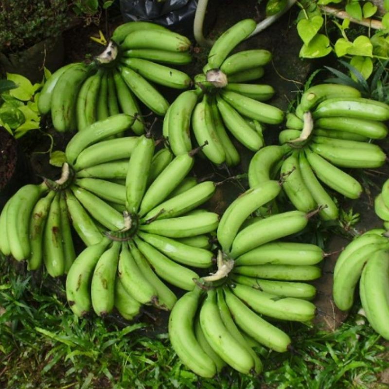 06b9289d204685e9ebaa1b9ca1711457